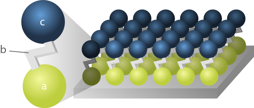 Schematic representation of a Self-Assembled Monolayer molecule